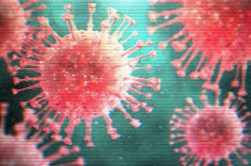 Câmara adota medidas restritivas para evitar proliferação de coronavírus